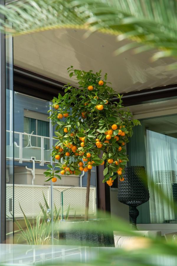 Hotel Orchidea Cervia Exteriör bild